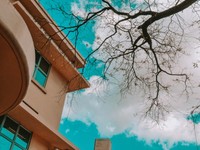 背伸びして受けた難関校。生まれて初めて悲しい以外の感情で泣いた