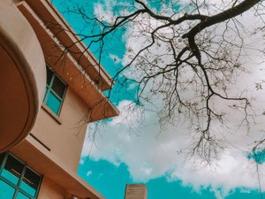 背伸びして受けた難関校。生まれて初めて悲しい以外の感情で泣いた