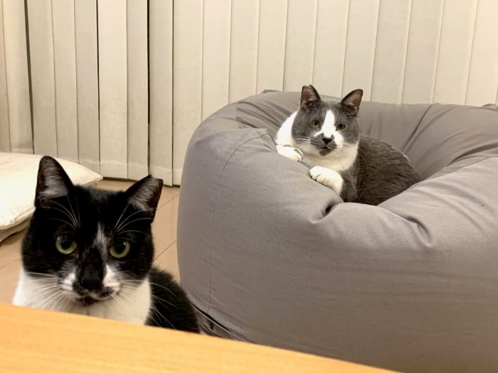 くつろぐくまおとこぐま