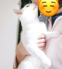 お父さん以外には甘々のくららちゃん（提供：るかくらさん）