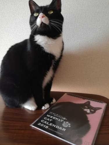 ねえ知ってる？私がカレンダーの表紙になってること