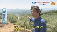 オキオリーブ／澳敬夫 代表