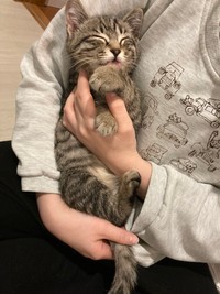 つむぎくん、赤ちゃんみたい