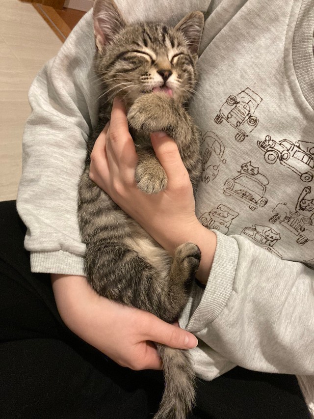 つむぎくん、赤ちゃんみたい