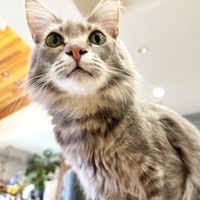 凛々しい顔つきがカッコいいおはぎさん（画像提供：床さん）