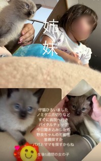 お姉ちゃんと一緒に過ごすステラちゃん（画像提供：葉山あかね 2y 双子さん）