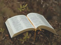 好きな人から借りた本の匂い、憧れの上司の柔軟剤の匂いが再生する記憶