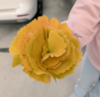 イチョウの葉っぱを集めたその姿は、まるで一輪の花！（提供：トリッシュさん）
