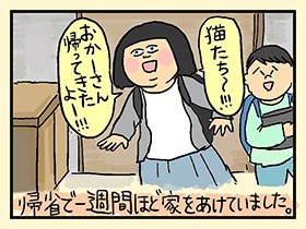 お留守番猫、４変化　やっぱ、猫じゃけぇ(13)