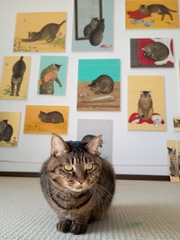 日々の観察を積み重ねて生み出された作品の数々と、コイモちゃん（画像提供：ぼんた（小熊香奈子）さん）