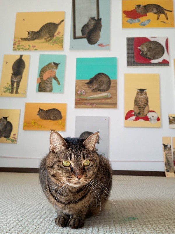 日々の観察を積み重ねて生み出された作品の数々と、コイモちゃん（画像提供：ぼんた（小熊香奈子）さん）