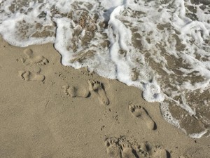 部活も就活も上手くいかず、愛犬まで病気に。今は「もう頑張れない」