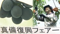 【解説】西日本豪雨から1年　被害があった産地で果物の出荷が最盛期
