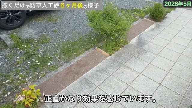 人工砂を撒いていないエリアと比較すると、効果を実感／しかちゃんねる【庭づくりDIY】さん（@しかちゃんねる-b4d）提供