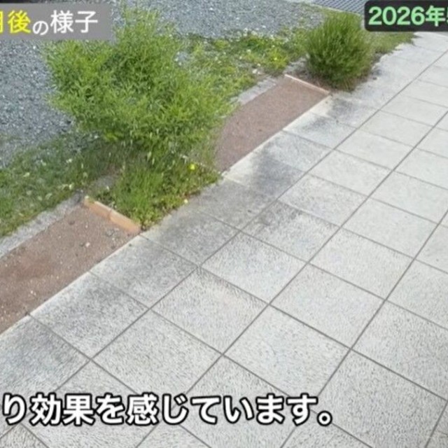 人工砂を撒いていないエリアと比較すると、効果を実感／しかちゃんねる【庭づくりDIY】さん（@しかちゃんねる-b4d）提供