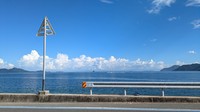 しまなみ海道をサイクリング中に見た夏の光景／おれんぢさん（@0r4n9e__）提供