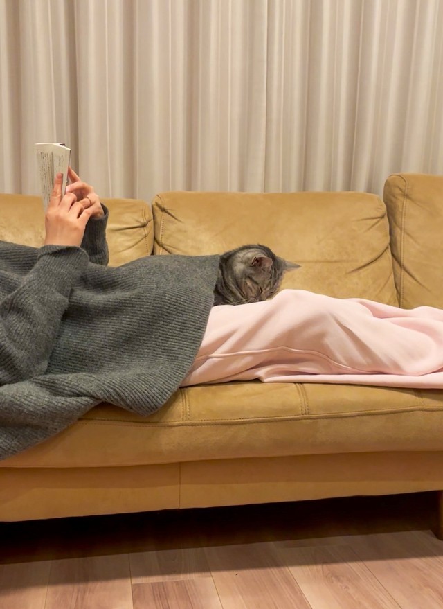 読書中のママさんの膝の上で「ごめん寝」することも（画像提供：あんこともなか 充電ねこさん）