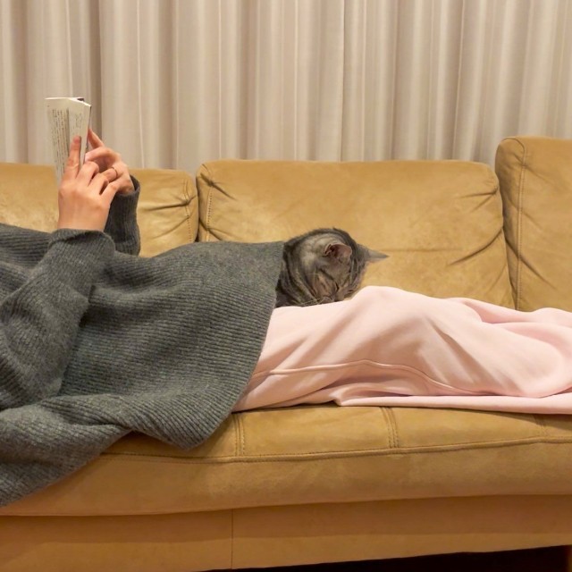 読書中のママさんの膝の上で「ごめん寝」することも（画像提供：あんこともなか 充電ねこさん）