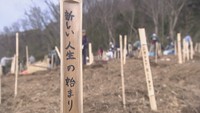 地域の親子連れなど110人ほどが参加　約500本の山桜の苗を植えた