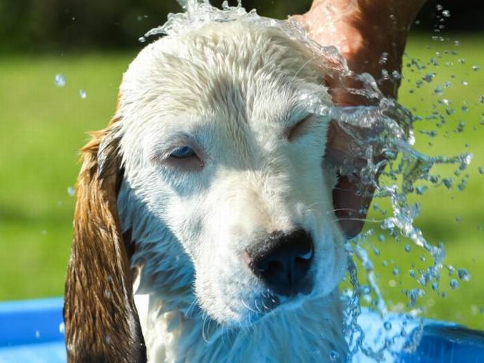 全身に水を浴びる