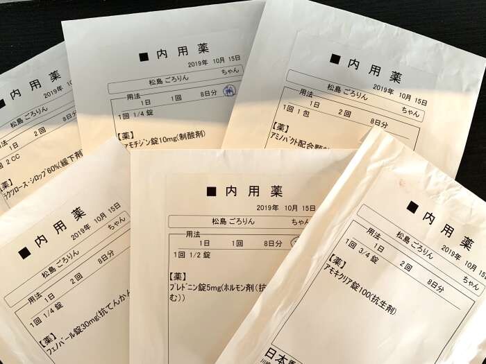 朝と晩、薬を飲ませています