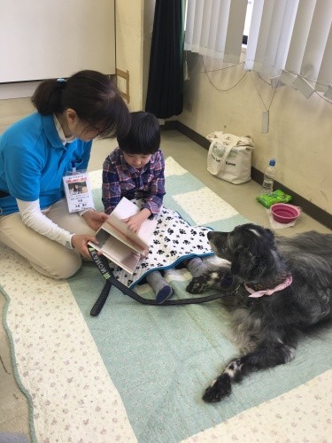 ５年前から始まった三鷹市立三鷹図書館での犬への読み聞かせプログラム（JAHA提供）