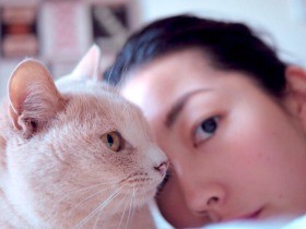 保護猫「水丸さん」の肩トントン　うれしい季節がやって来た