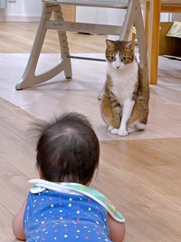 見つめ合うステラちゃんと息子さん（画像提供：友禅師 水野可菜:名古屋の小さな友禅屋さん）