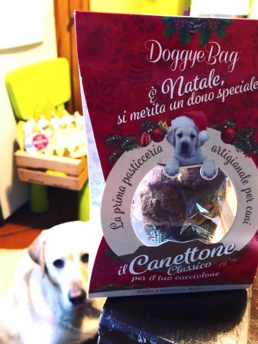 イタリアのクリスマスのケーキといえば「パネットーネ」、去年ペットショップで見つけたのはイタリア語の犬”カーネ”をかけた「カネットーネ」