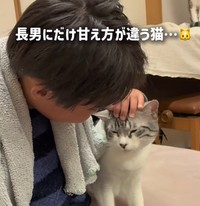 なでなでしてもらってご満悦（ろくはなさん提供、Instagramよりキャプチャ撮影）