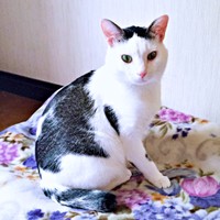 あどけなさが残る表情が愛らしいしょうたくん（画像提供：きよダブシャインさん）