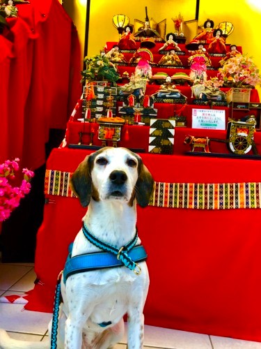 「ふふ、わたし女の子ですから」（泉水さん提供）