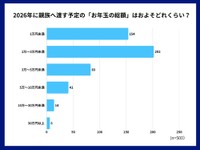 親族に渡すお年玉の総額