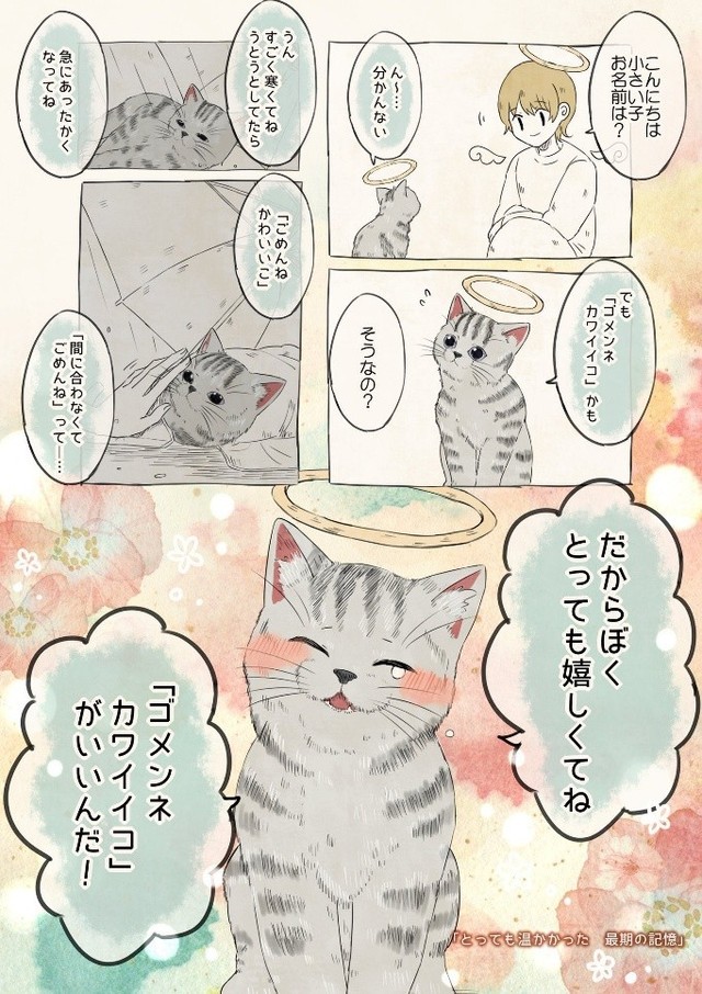 謝罪の言葉も動物目線では、捉え方が違うかもしれないと思わせてくれる作品