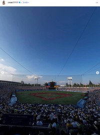 千秋さん「阪神、8-1でヤクルトに勝って超いい試合だった」（提供）