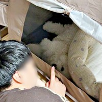 テントの中でくつろぐアポちゃんとそれを見守るパパ（画像提供：Apo こげ耳ビションさん）