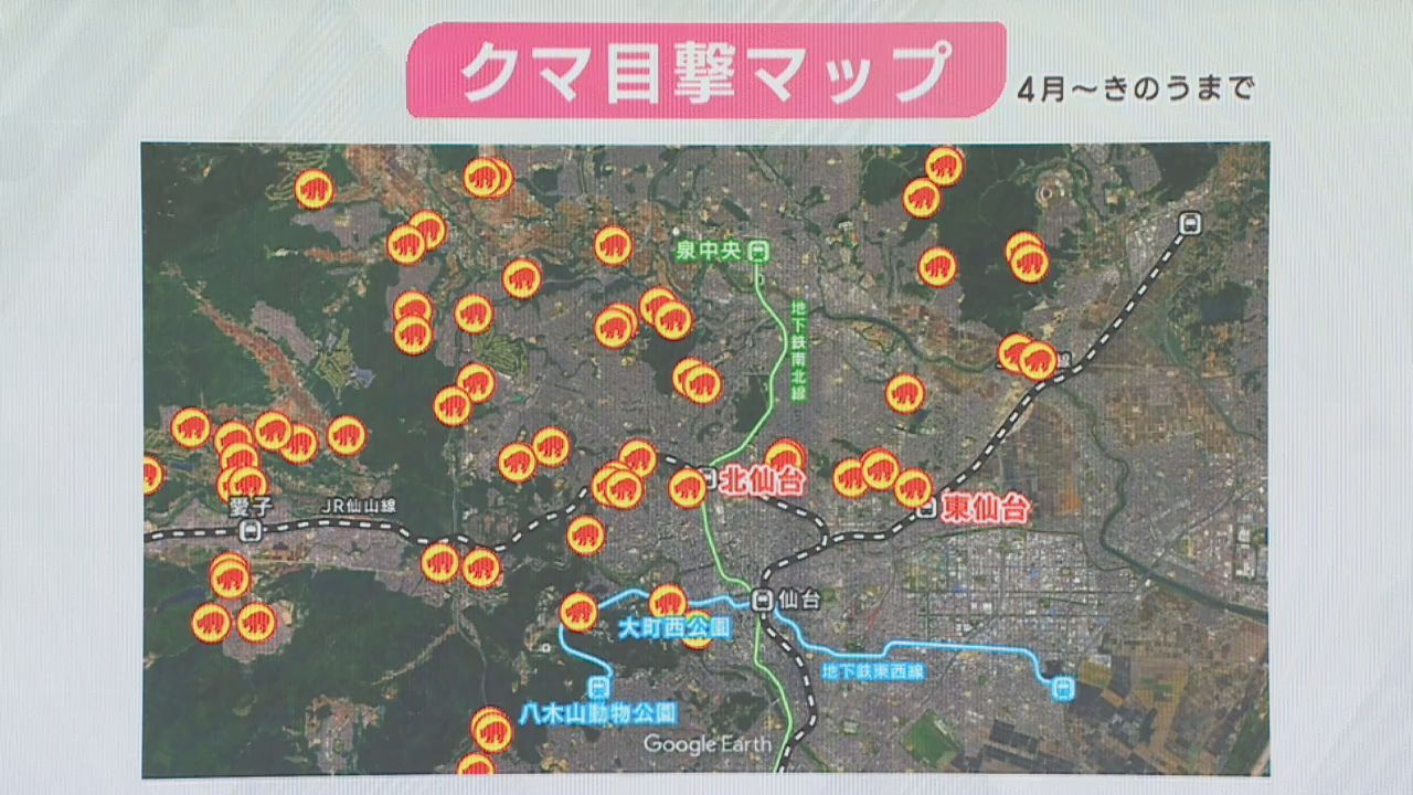 目撃が相次ぐクマ　目撃情報を受けた自治体や警察の対応は