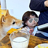 まるで本当の兄妹！ パパのもとに集まったえだまめくんと娘さん（画像提供：豆柴えだまめくん）