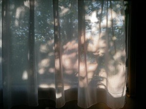 誰かと過ごすことこそ有意義だと思ってた。そんな私の「ひとり時間」