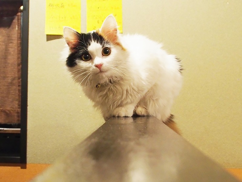 お気に入りの場所