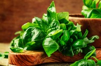 バジルの「食感も香りも楽しめるアレンジ」とは…※画像はイメージです（5ph/stock.adobe.com）