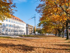 「もっと大人になれたら」ホストマザーと喧嘩した。愛着のある部屋から私は一人帰国した