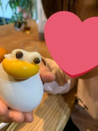 アヒルが誕生した＝さちうす子さん（@kisekimachi）提供
