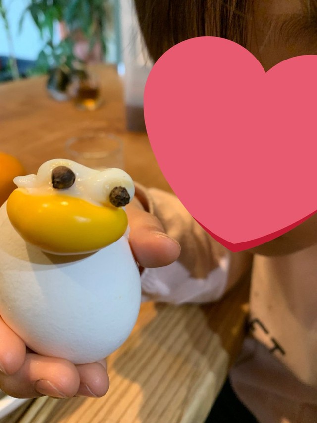 アヒルが誕生した＝さちうす子さん（@kisekimachi）提供
