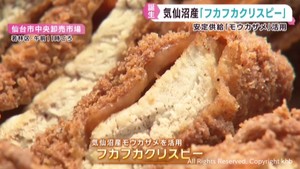 モウカザメのフライ「フカフカクリスピー」水揚げ安定のサメで新商品　宮城・気仙沼市