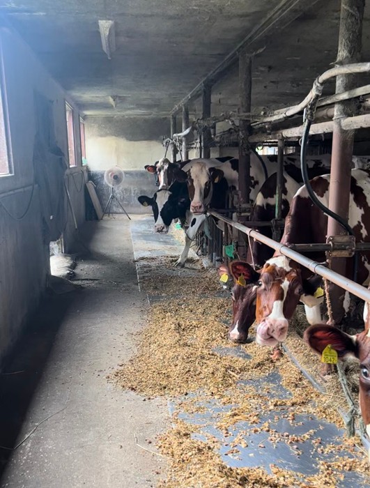 こちらも何かを訴えてる〜（提供：よしださん）