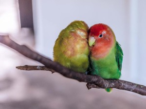 ただそばにいる先生のように、私には友達がいてくれて幸せだった