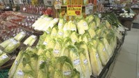 気温が下がり鍋シーズン本格到来　高騰が続いていた葉物野菜の価格落ち着く　香川