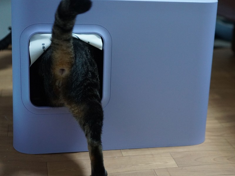 「またいってきます。ちょ、お尻見ないでよ！僕は軽々できるけど、イヌオはまたげないんだって」