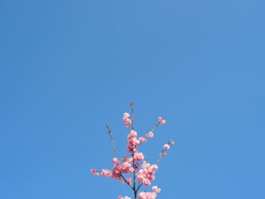 恋の終わりは自分で選ぶ。「傍観者の恋」からの卒業